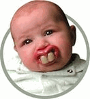 Two Front Teeth Pacifier