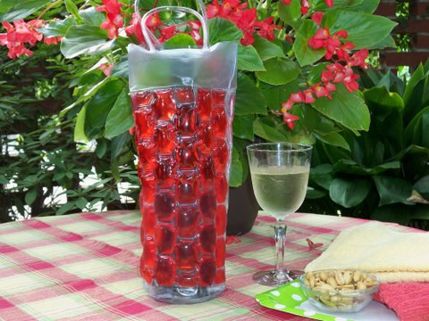 Chill It Wine Bag: Red & Green