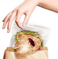 Lunch Bugs Sandwich Bags