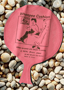 Whoopee Cushion Prank