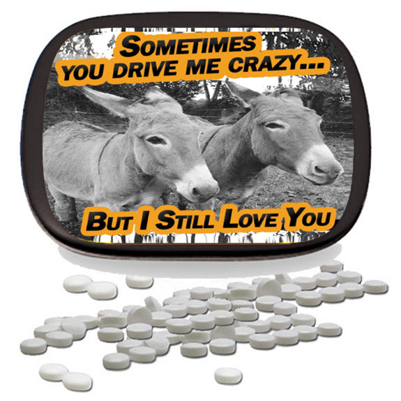You Drive Me Crazy But I Still Love You Mints