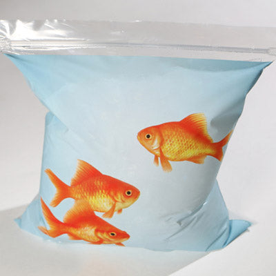 "Off the Hook" Goldfish Sandwich Bags