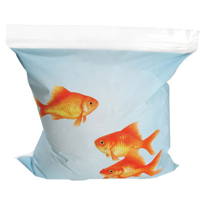 "Off the Hook" Goldfish Sandwich Bags