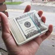 Loaded $100 Wallet