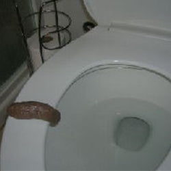 Fake Human Poop
