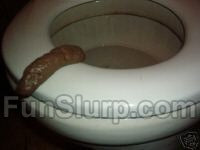 Fake Human Poop