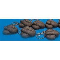 The Poop Key Chain