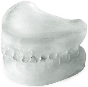 Frozen Smiles Ice Mold