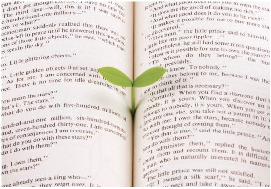 Sprout Bookmark